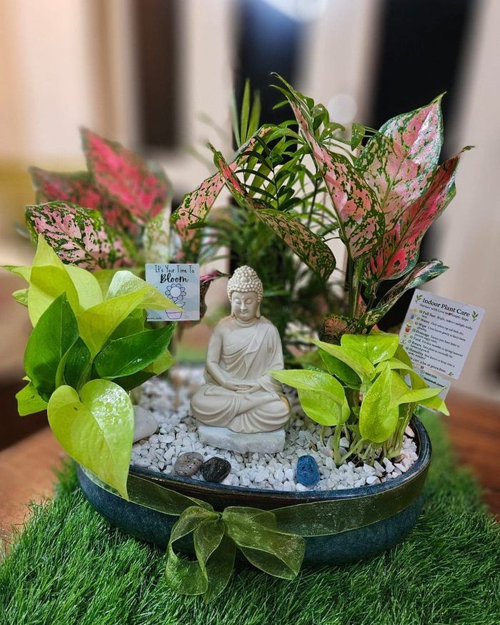 The Zen Sanctuary Planter — a seated Buddha among low green planting and pale gravel.