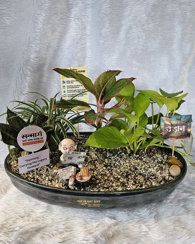 A planted piece made to mark a business milestone, with small detailing and a message card.