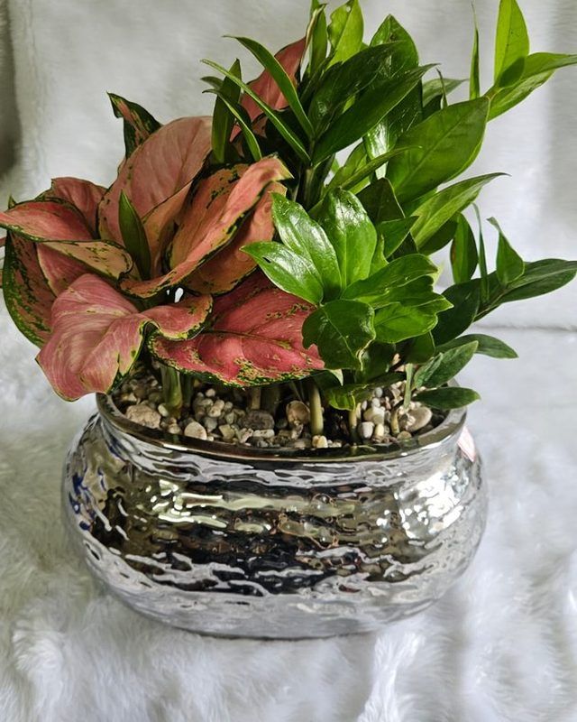 A planted arrangement in a metallic vessel, showing how the container itself can change.