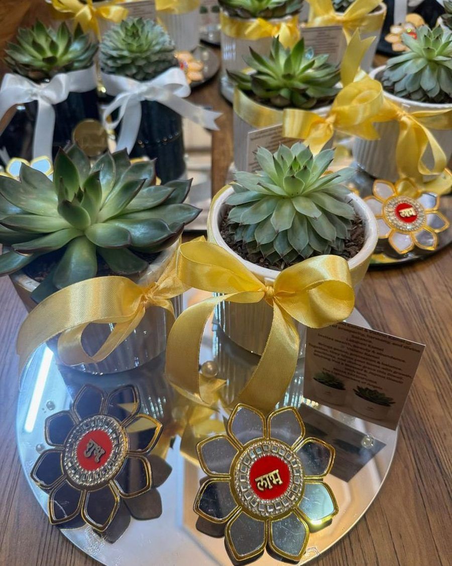 Finished planters wrapped with ribbon, prepared as a single corporate order.