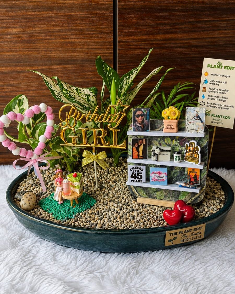 A birthday planter with aglaonema and palm, a personalised display shelf and a gold Birthday Girl topper.