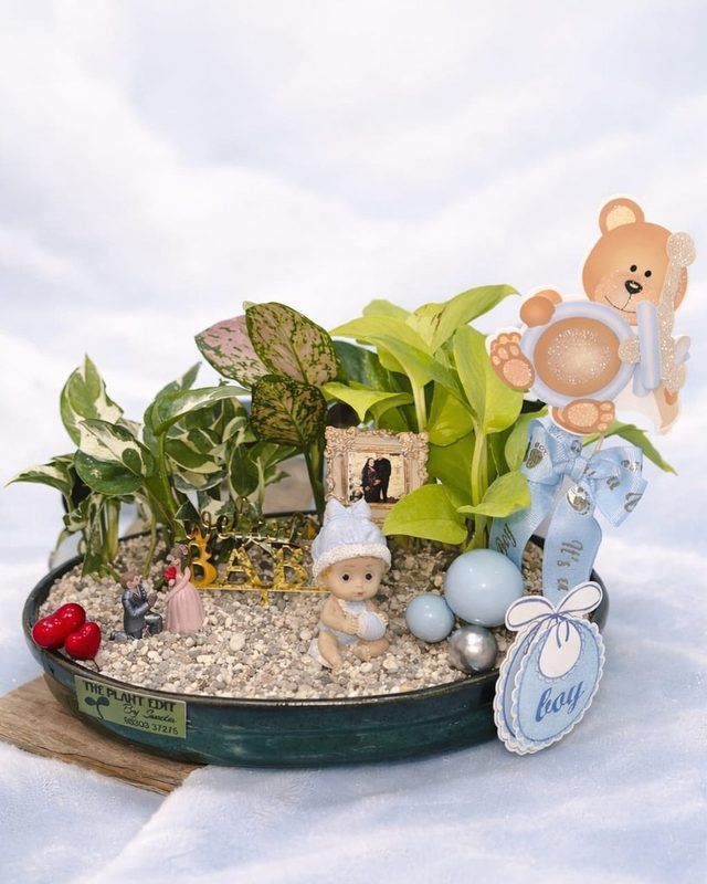 A pastel planter for a new baby, with a teddy bear and soft blue details.